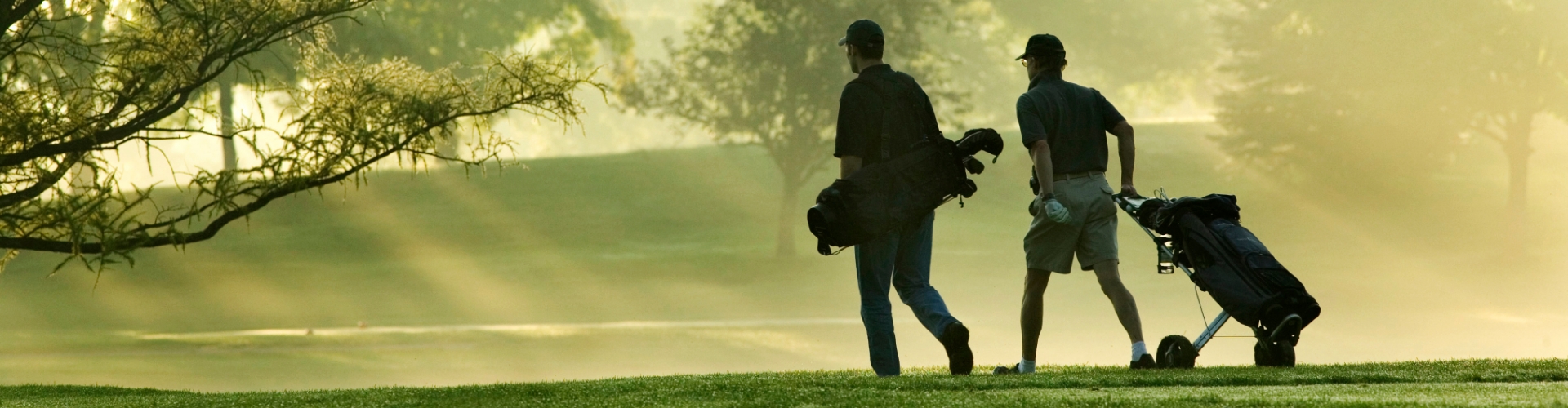 golf-sports-performance-Motive-Sport-and-Physical-Therapy-Chadds-Ford-Malvern-Berwyn-PA-head